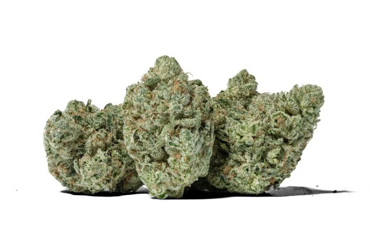 gg5-strain-768×497-1 Gorilla Glue (AAA+) - Image 1