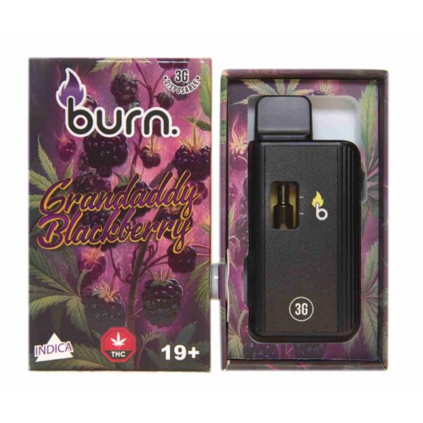 Burn Lifestyle Co. | Disposable Vape (3G) - Image 25