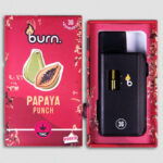 Burn Lifestyle Co. | Disposable Vape (3G) - Image 13
