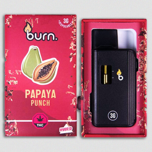Burn Lifestyle Co. | Disposable Vape (3G) - Image 13