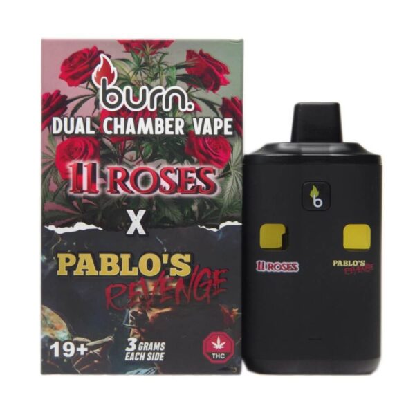 Burn Co. | Dual Chamber Disposable Vapes (6G) - Image 13