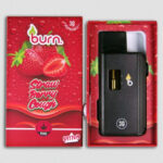 Burn Lifestyle Co. | Disposable Vape (3G) - Image 4