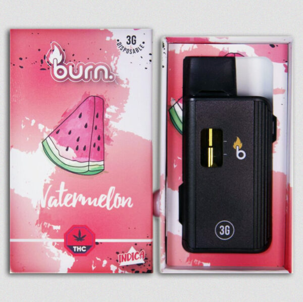 Burn Lifestyle Co. | Disposable Vape (3G) - Image 3