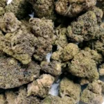 Sugar Factory (AAA+)